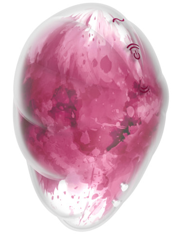 Pulzační a vibrační stimulátor klitorisu Cloud Dancer , Satisfyer